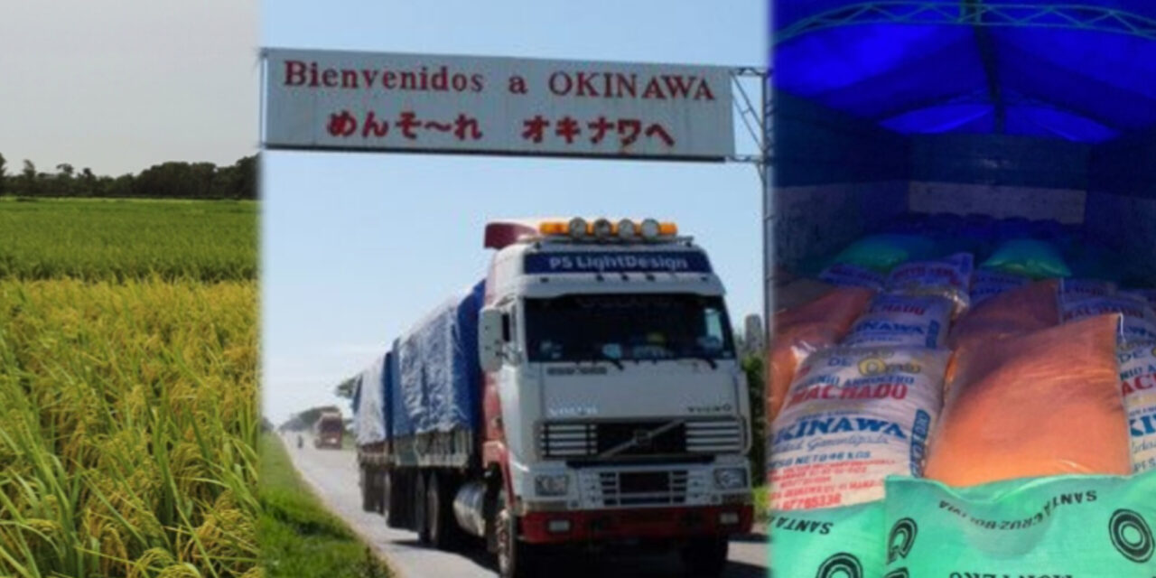 Productores de arroz alertan riesgo de colapso de puente en Okinawa por acumulación camiones