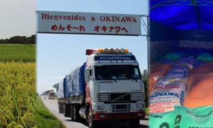Productores de arroz alertan riesgo de colapso de puente en Okinawa por acumulación camiones