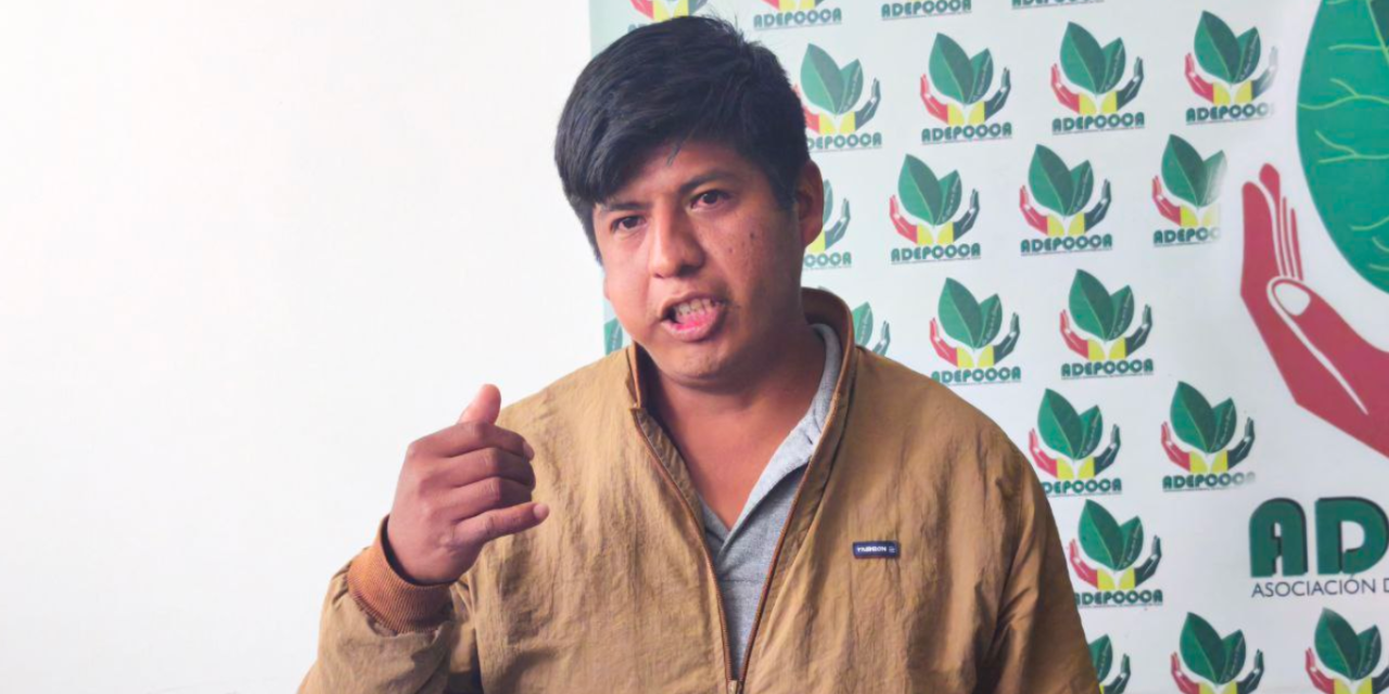 ADEPCOCA respalda la erradicación de coca ilegal y advierte que la sobreproducción afecta el precio de su producto