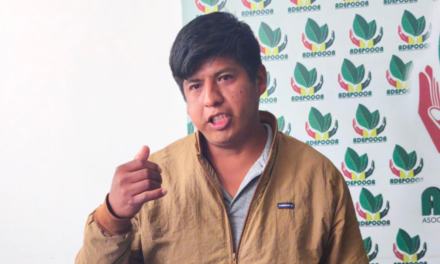 ADEPCOCA respalda la erradicación de coca ilegal y advierte que la sobreproducción afecta el precio de su producto