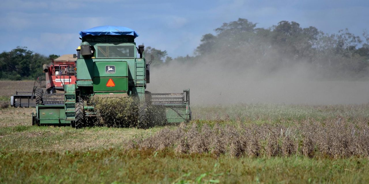Nuevo guiño a Santa Cruz: autorizan biotecnología HB4 para la soya