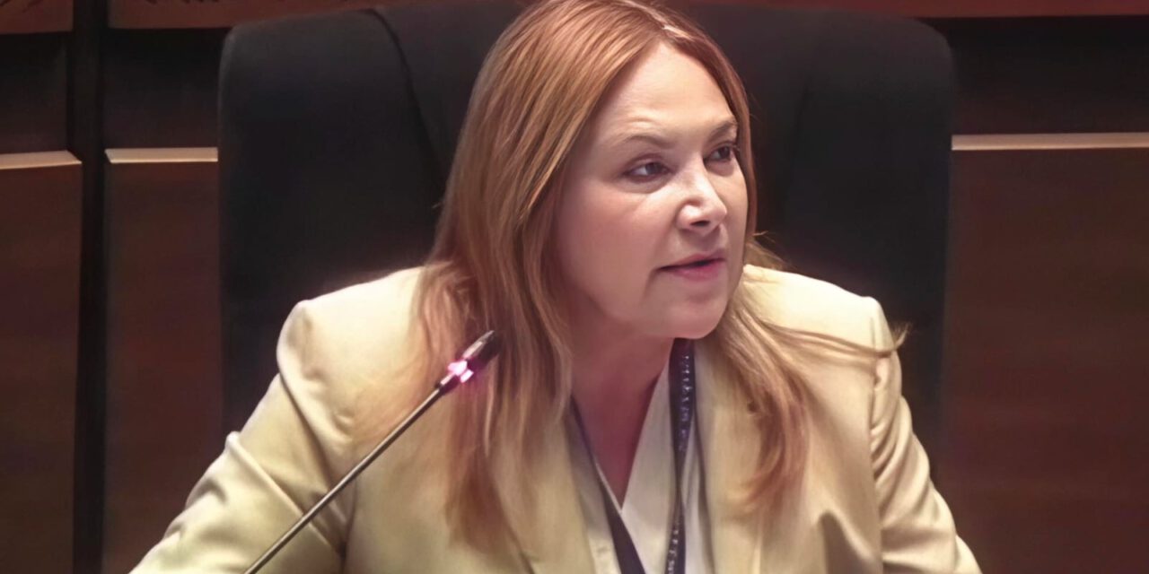 “La salida de Akly es una confesión de parte, el gobierno sabía que mentía”