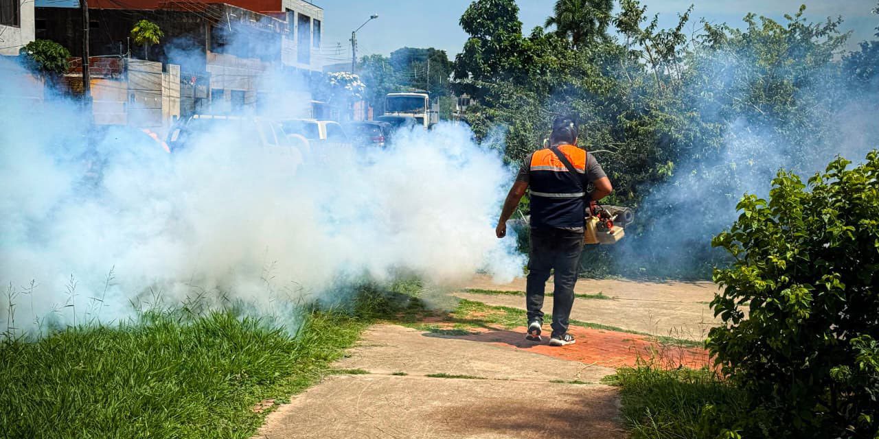Brote de chikungunya en Santa Cruz deja más de 4.700 contagios y seis fallecidos