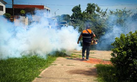 Brote de chikungunya en Santa Cruz deja más de 4.700 contagios y seis fallecidos