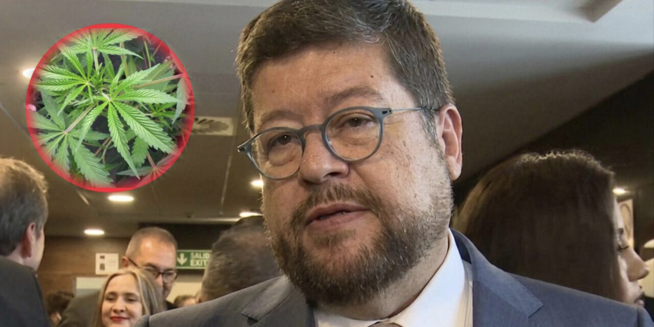 Doria Medina aclara que no apoya la legalización de la marihuana y dice que es “puerta de entrada a drogas duras”