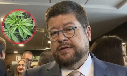 Doria Medina aclara que no apoya la legalización de la marihuana y dice que es “puerta de entrada a drogas duras”
