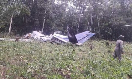 Informe forense: pilotos murieron por shock hipovolémico tras caída de aeronave
