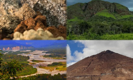 Bolivia entra en la disputa global por minerales críticos y tierras raras