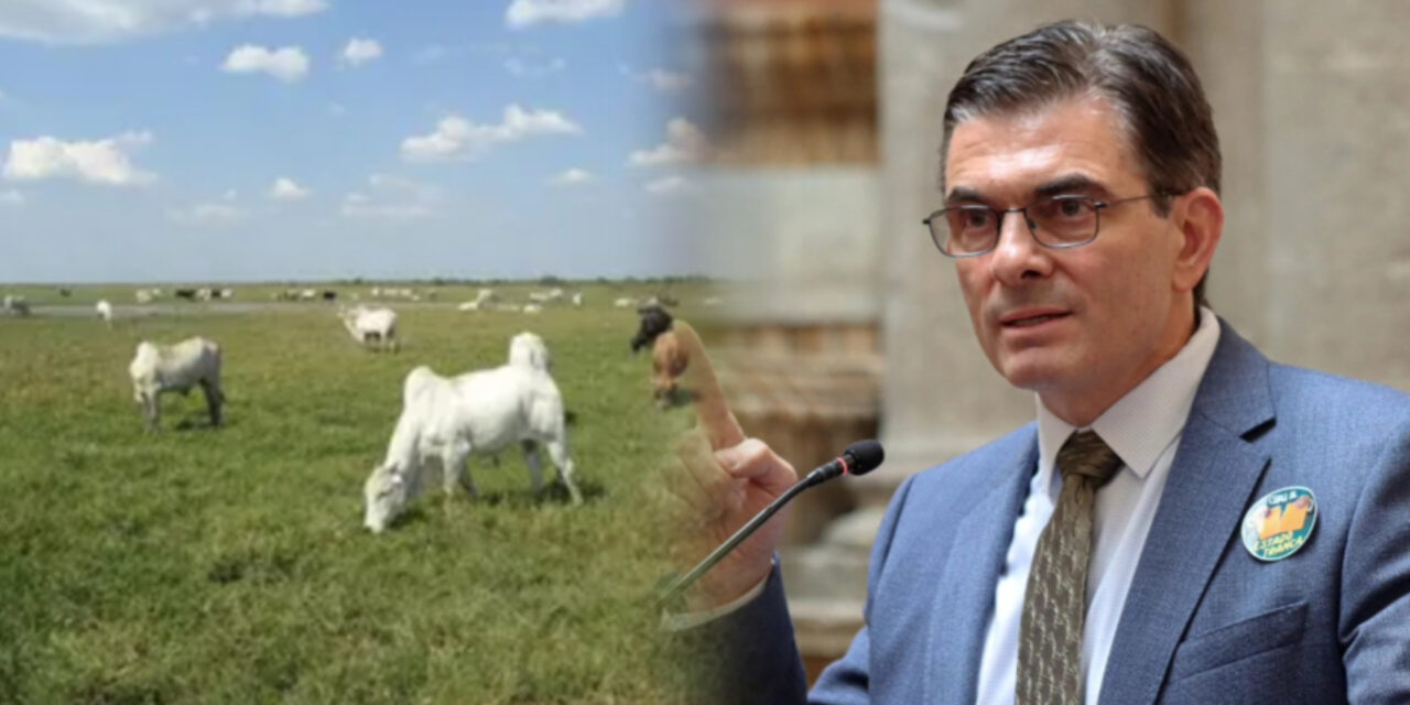 Entra en vigencia la ley que permite convertir tierras de pequeña a mediana propiedad