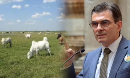 Entra en vigencia la ley que permite convertir tierras de pequeña a mediana propiedad