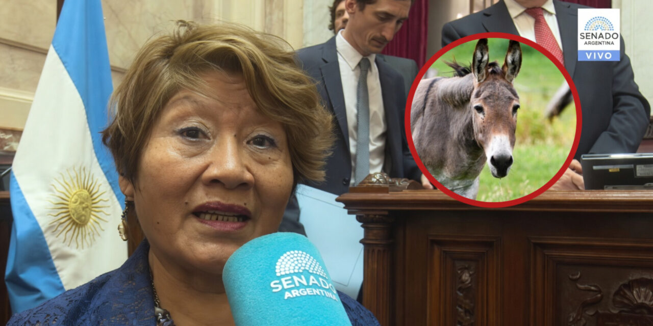 Senadora afín a Milei defiende el consumo de carne de burro y la califica como “un plato fino y sano”
