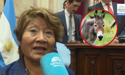 Senadora afín a Milei defiende el consumo de carne de burro y la califica como “un plato fino y sano”
