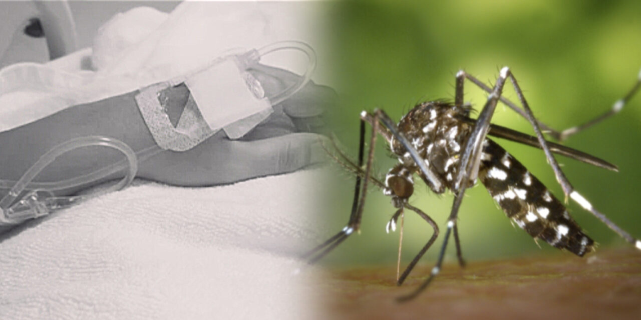 Chikunguña deja 21 muertos y más de 9.300 casos en Santa Cruz