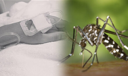 Chikunguña deja 21 muertos y más de 9.300 casos en Santa Cruz