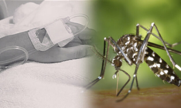 Chikunguña deja 21 muertos y más de 9.300 casos en Santa Cruz
