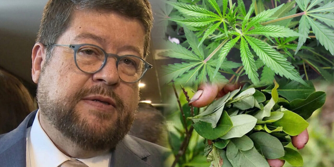Doria Medina advierte que la marihuana ya es más rentable que la coca y crece su producción en Bolivia