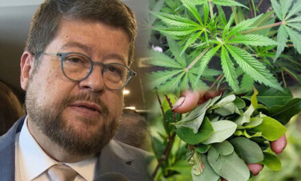 Doria Medina advierte que la marihuana ya es más rentable que la coca y crece su producción en Bolivia