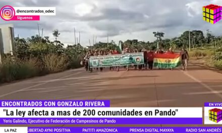 Campesinos e indígenas avanzan hacia La Paz tras fracaso de tres diálogos