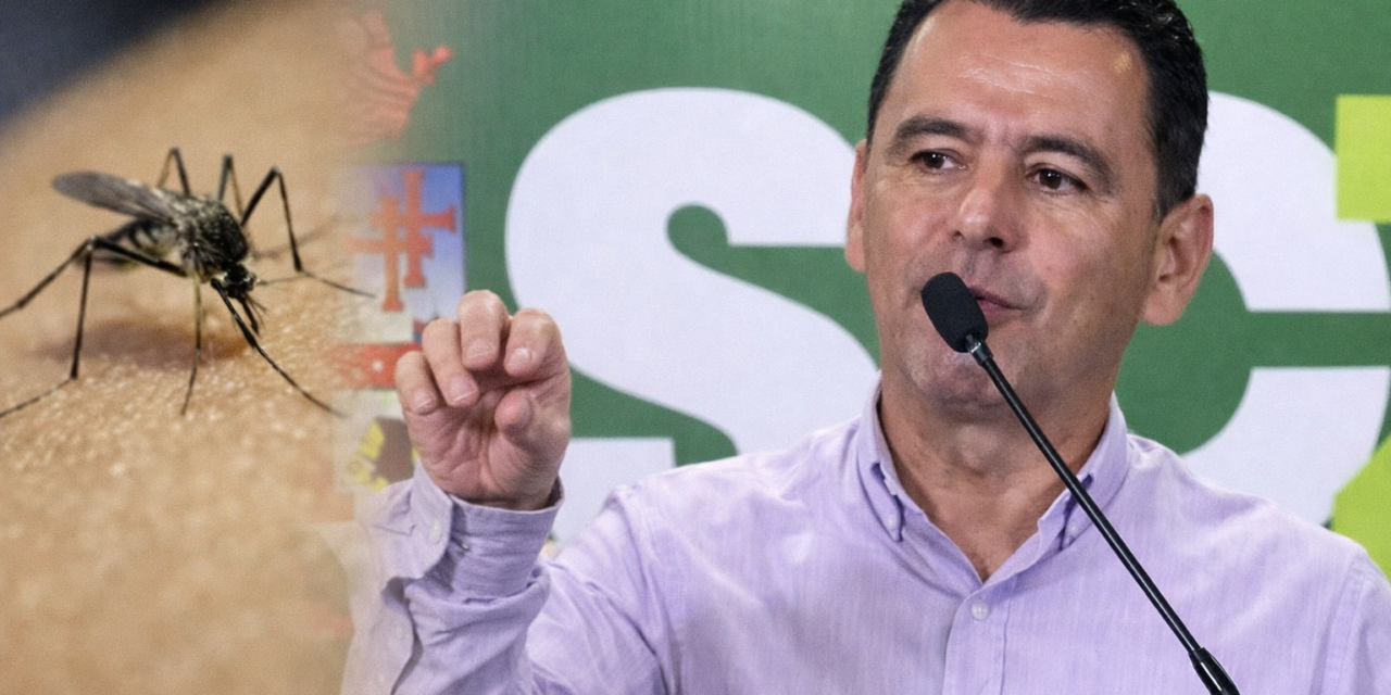 Santa Cruz enfrenta brote de fiebre amarilla tras 20 años y sospechan transmisión de animales a humanos