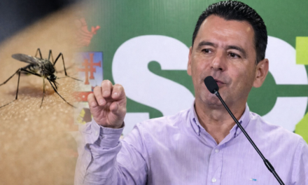 Santa Cruz enfrenta brote de fiebre amarilla tras 20 años y sospechan transmisión de animales a humanos