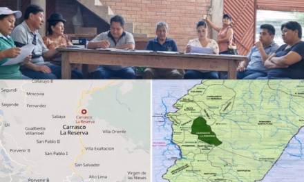 Concejo de Caranavi aprueba ley de cero actividad minera