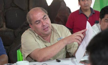 Gobierno apunta a “intereses políticos” en marcha y propone vía constitucional por Ley 157