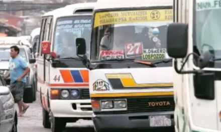 Transporte urbano opera con normalidad en Santa Cruz pero las rutas interprovinciales se ven afectadas