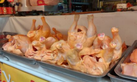 Bloqueos disparan el precio del pollo en La Paz mientras Cochabamba y Santa Cruz registran caída por sobreoferta