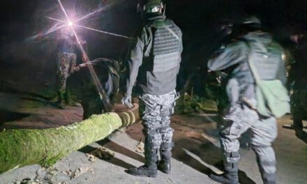 Policía desbloquea la ruta La Paz–Coroico en Yolosita y mantiene resguardo en puntos estratégicos