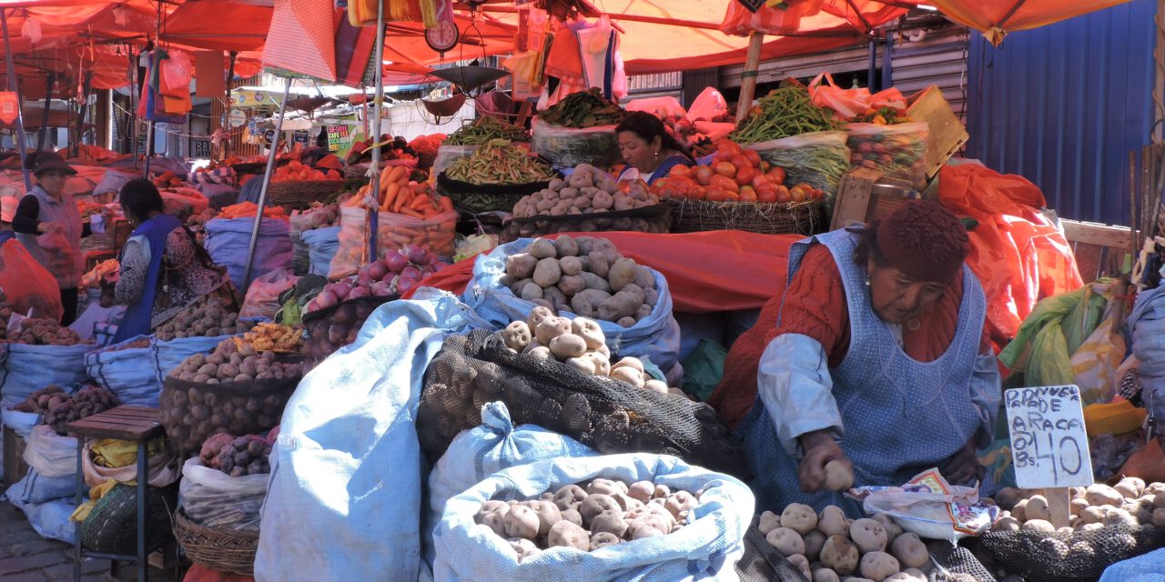 Conflictos golpean economicamente a comerciantes, choferes y productores en La Paz y otras regiones