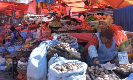 Conflictos golpean economicamente a comerciantes, choferes y productores en La Paz y otras regiones