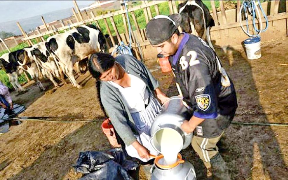 Crisis en el sector lechero: productores venden ganado y alertan riesgo de desabastecimiento