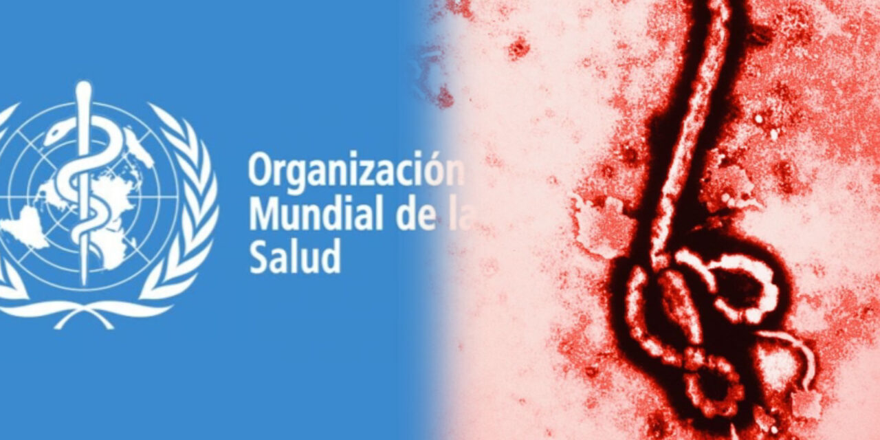 OMS alerta por rápida expansión del brote de ébola en África