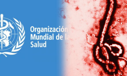 OMS alerta por rápida expansión del brote de ébola en África