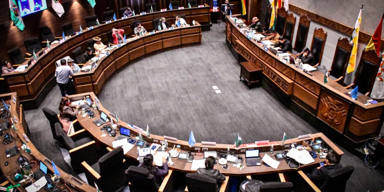 Senado declara cuarto intermedio para que proyectos sobre estado de excepción sean analizados en comisión