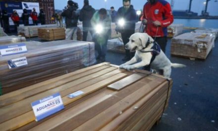 Incautación de droga en cargamentos de madera abre debate sobre controles y exportaciones bolivianas