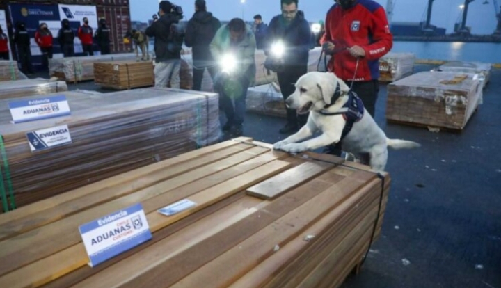 Incautación de droga en cargamentos de madera abre debate sobre controles y exportaciones bolivianas