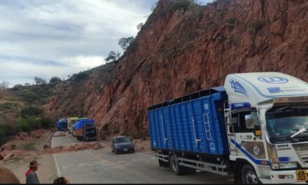 Permiten el paso de 65 camiones con alimentos en el punto de bloqueo de Surima Sucre