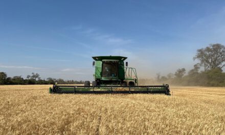 Anapo advierte que la falta de diésel pone en riesgo la seguridad alimentaria del país