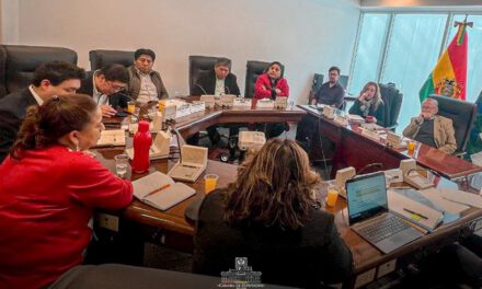 Diputados convoca este sábado a sesión virtual para tratar la reglamentación de los estados de excepción
