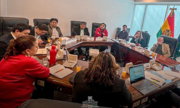 Diputados convoca este sábado a sesión virtual para tratar la reglamentación de los estados de excepción