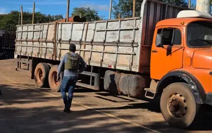 Felcn y DEA activan operativo binacional por el caso narcomaderas; una carga queda bajo investigación