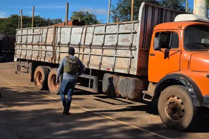 Felcn y DEA activan operativo binacional por el caso narcomaderas; una carga queda bajo investigación