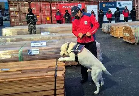 Narcomadera: Fiscalía de Bolivia será integrada a la investigación en Chile