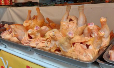 Pollo baja a menos de Bs 16 el kilo en La Paz, una semana después del fin de los bloqueos