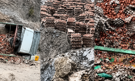 Camión con carga de huevos vuelca en ruta alterna hacia La Paz y productor pierde gran parte de la mercadería