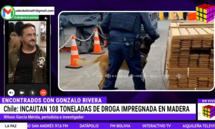108 toneladas de droga en madera: ¿cómo salió de Bolivia?
