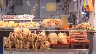 Baja el precio del pollo en Santa Cruz, pero comerciantes anticipan un nuevo incremento