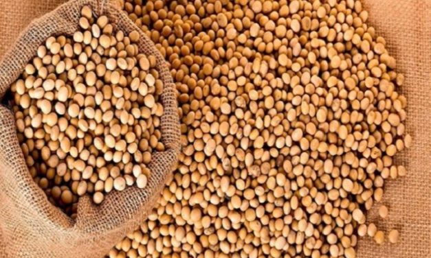 Anapo alerta que la falta de diésel pone en riesgo la campaña de invierno y la producción de soya