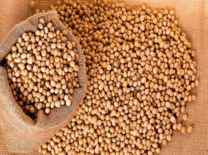 Anapo alerta que la falta de diésel pone en riesgo la campaña de invierno y la producción de soya